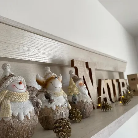 Dream View 科帕奥尼克