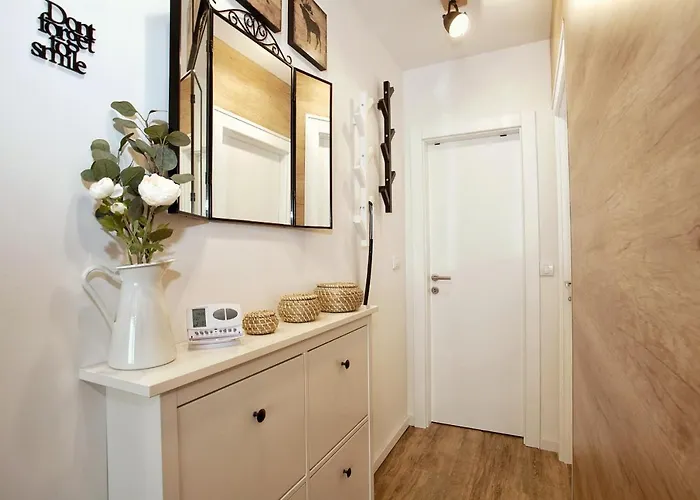 Dream View Копаоник