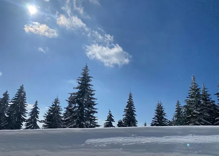 Апартаменты Dream View