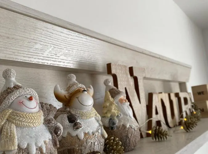 Dream View Копаоник